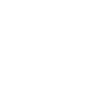 ① Issue scheme