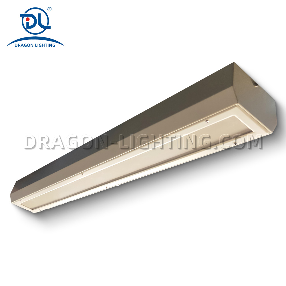 IK16 Led Prison light