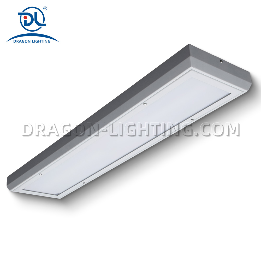 Surface Led Prison light