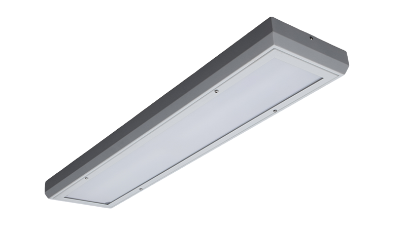 Surface Led Prison light