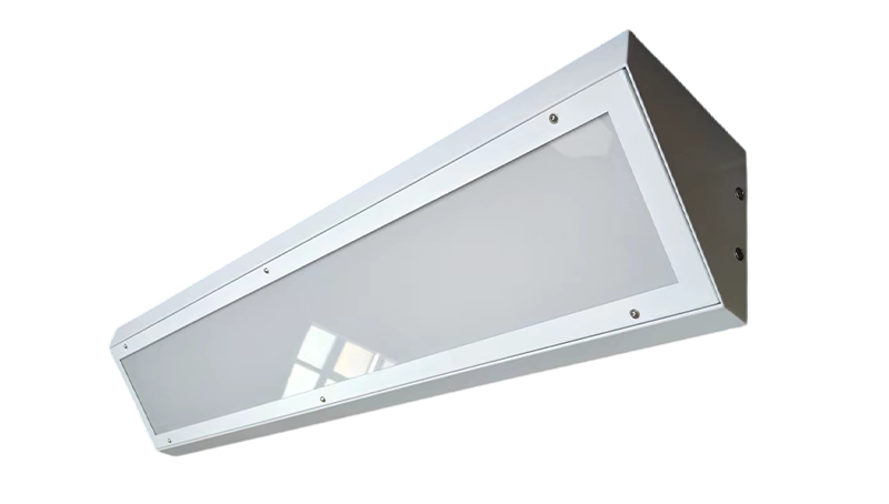 Wall Type  Led Prison light